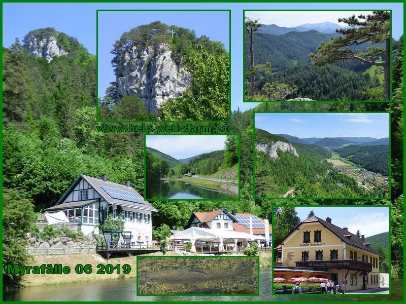 Myrafalle 1 2019